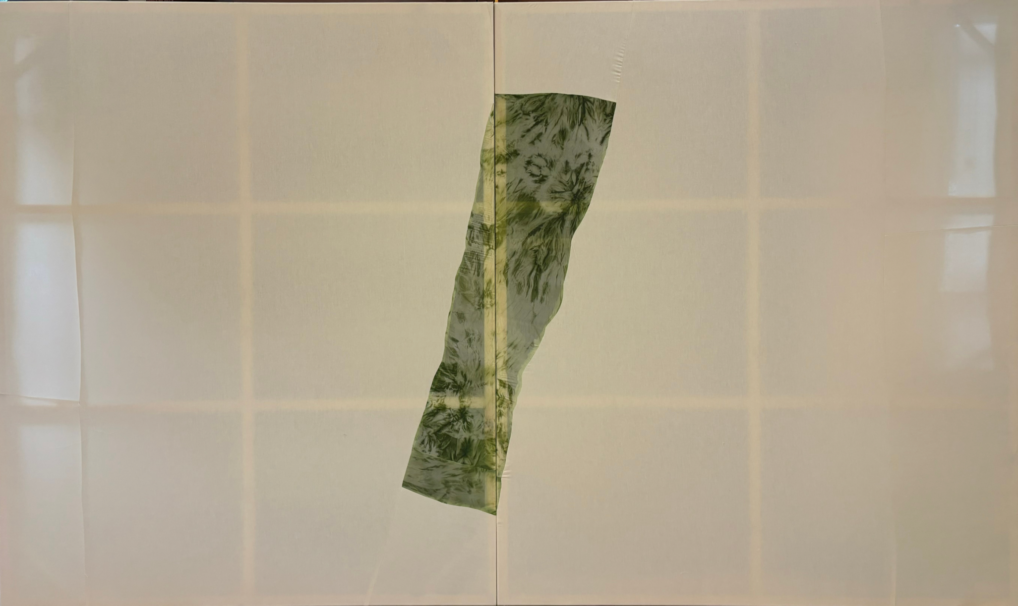 Green XXII